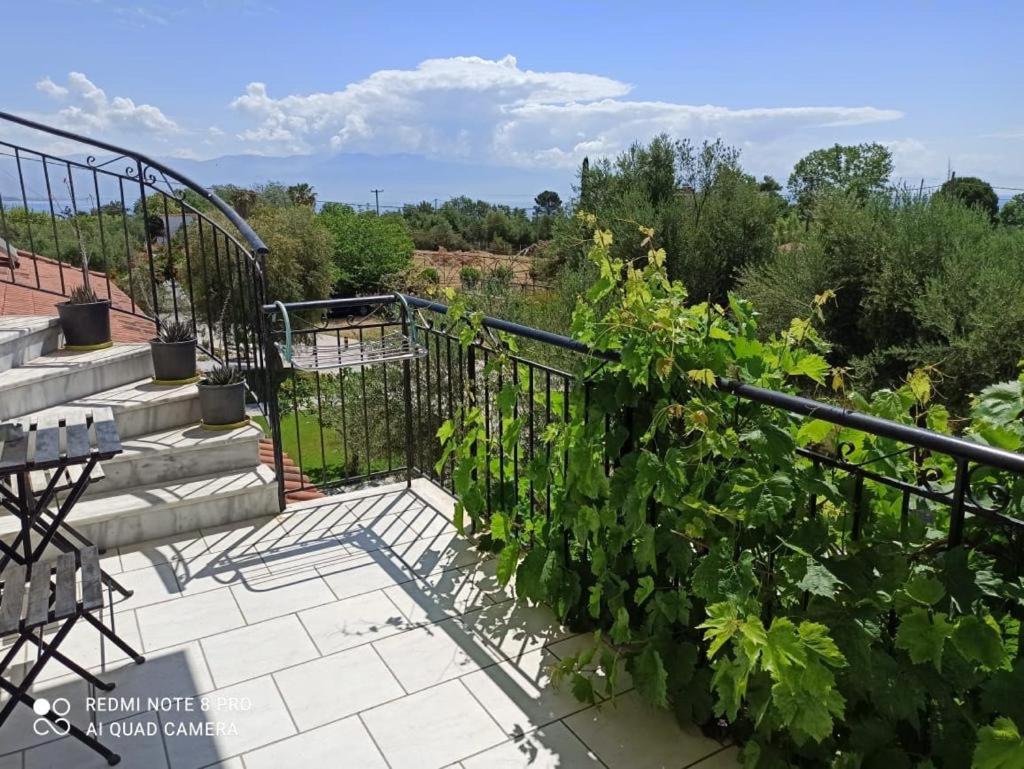 Anastasios Olive Garden Apartments Petalídhion Buitenkant foto