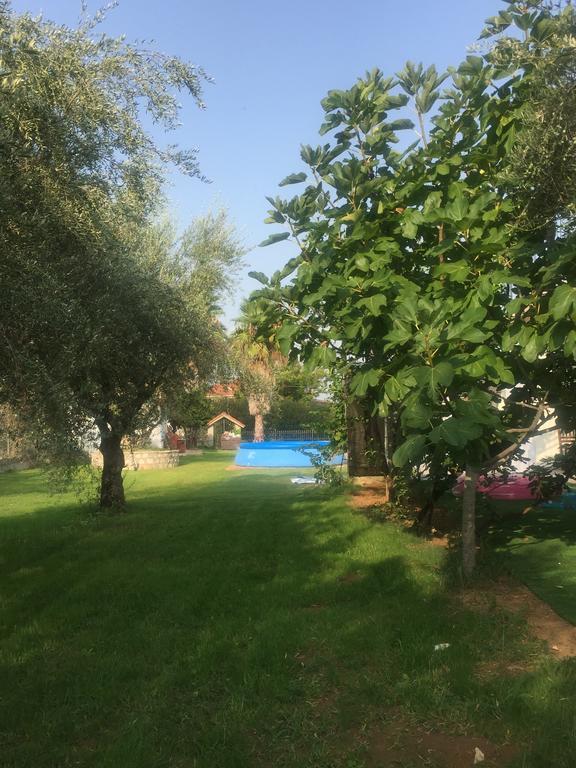 Anastasios Olive Garden Apartments Petalídhion Buitenkant foto