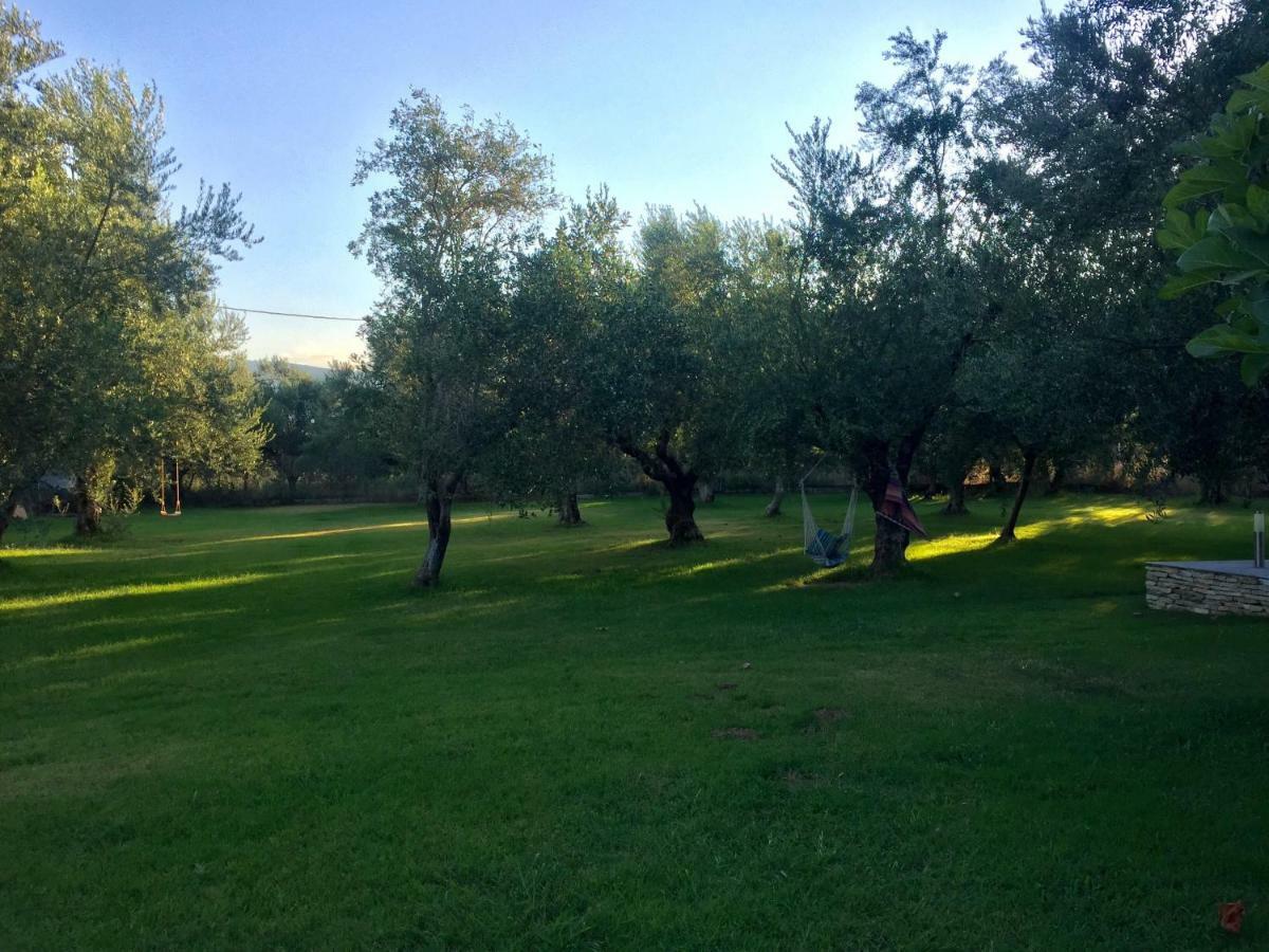 Anastasios Olive Garden Apartments Petalídhion Buitenkant foto